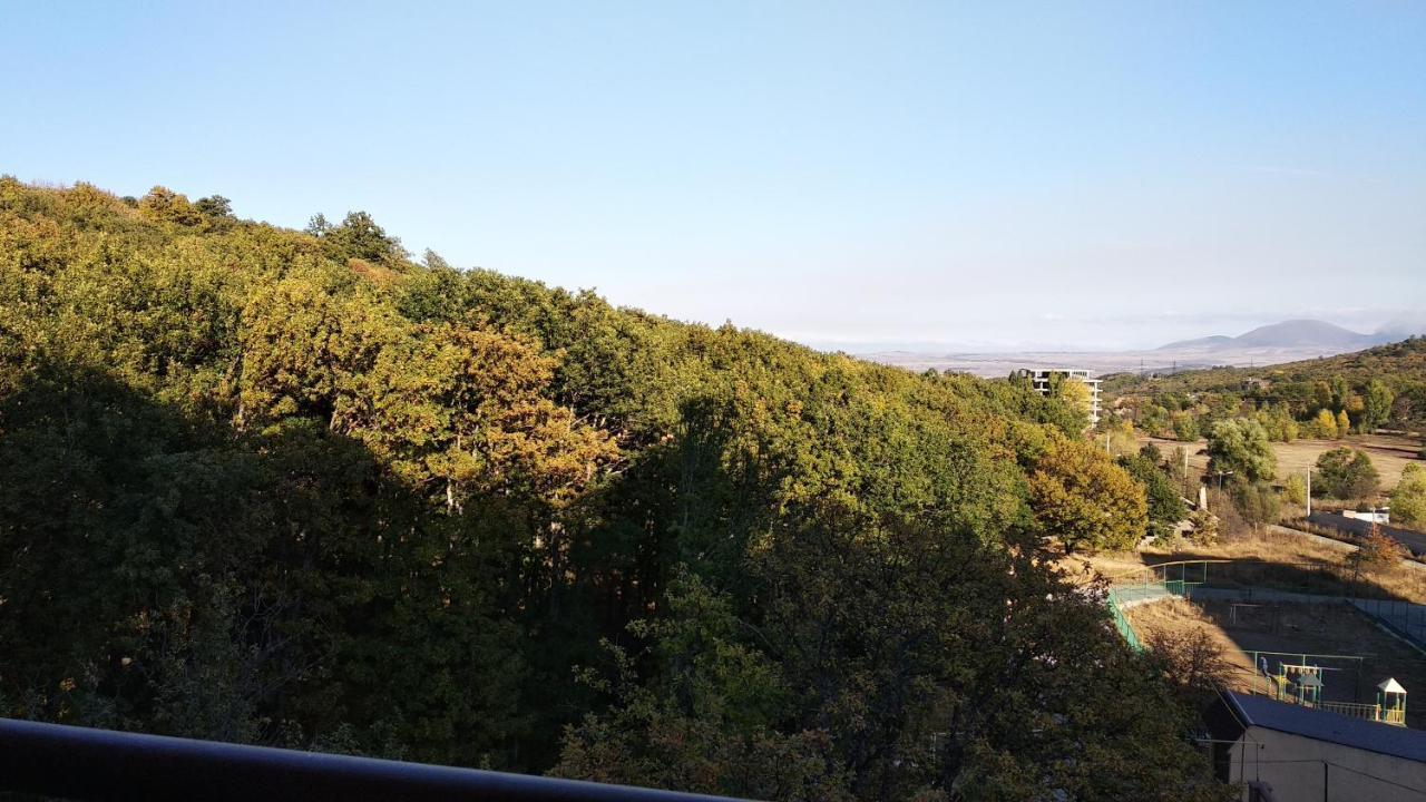 Hillside Apartment Tsaghkadzor Esterno foto